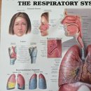 호성한의원 이미지