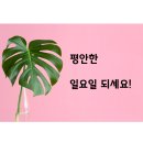 구갈온누리약국 이미지