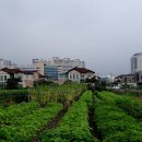 솔터힐링 숲체험원 이미지