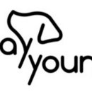 스테이영 애견학교 이미지