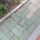 장산노인복지회관 이미지