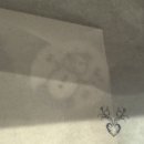 色이 있는 風景 | 언럭키 거지새키가 0원으로 쇼케 가는 법 :: 251028 앤팀 Back to Life 한국 데뷔 쇼케이스 후기
