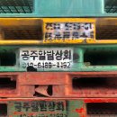 거봉다실