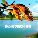 동구리호수공원주차장 이미지