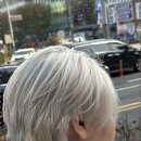 더사라헤어 이미지