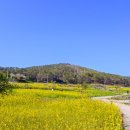 호천마을 이미지