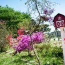 꽃향기펜션 이미지