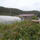 일직면보건지소 Daum카페
