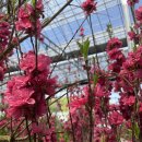 대림가든 이미지