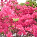 행복펜션민박 이미지