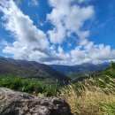 미식&포토스팟 코스 | 울산 간월재 등산 후기｜포토스팟·코스·주차장까지 한눈에 정리!