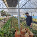 두엽농장 이미지