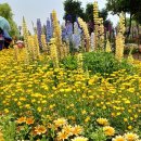 이재홍내과의원 이미지