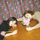 참좋은 세탁소 이미지