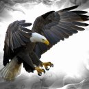 이글스크린골프존 이미지