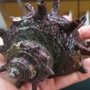 바다마실 이미지