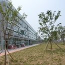 시드니하트 이미지