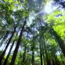 산따라 물따라 코스 이미지