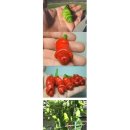 현기농장 이미지