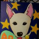 애니팜약국 이미지