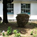 예미초 고성분교장 이미지