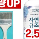 자연페인트