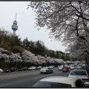 두류공원로 이미지