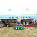 횡성더덕농가