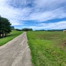 현지목장 이미지