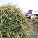 연합왕겨 이미지