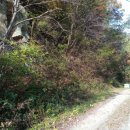 동구농장 이미지