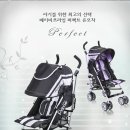 베이비 프라임 Daum카페