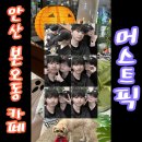 퍼피당강아지 안산본점 | [안산]본오동 카페 머스트픽 상록수본점 애견동반 디저트 카페