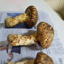 고래산농장 이미지