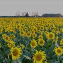 마루힐공인중개사사무소 이미지