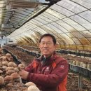 선우농장 이미지