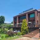 닥스 종합 | 애견동반이 가능하고 브런치까지 즐길수 있는 대형감성카페 분닥스