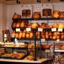 제방기능사 이미지