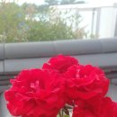 오고가고펜션 이미지