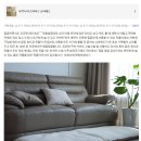 [ 고밀도100수 요커버 / 소파패드 - 틸그린 ]