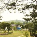 역동재 이미지