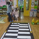 전라북도 교통문화 연수원 방문 교통안전교육 이미지