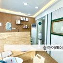 숲아이래쉬