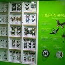 양평곤충박물관 이미지