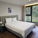 호텔 서귀피안 | [제주] 전객실 오션뷰, 서귀포 가성비 숙소로 너무 좋은 서귀피안 호텔 (+ 조식 후기)