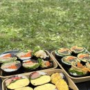 식물원김밥 주말 포장, 배달 주문 후기