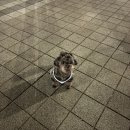 임실두루치기 | 2월