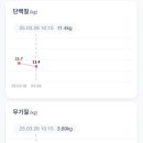 터트 이미지