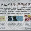 추풍령할매갈비 이미지