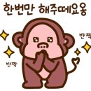 Y모터스(와이모터스) 이미지